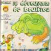 disque dessin anime pierrot la decouverte de boutitou